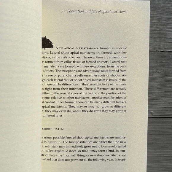 1984 The Growing Tree Forestry Student Tree Arborist Woods Forest Biology Nature - Picture 4 of 8